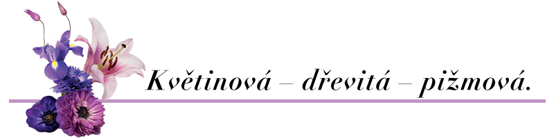 mezibanner-text-eleganty-cool